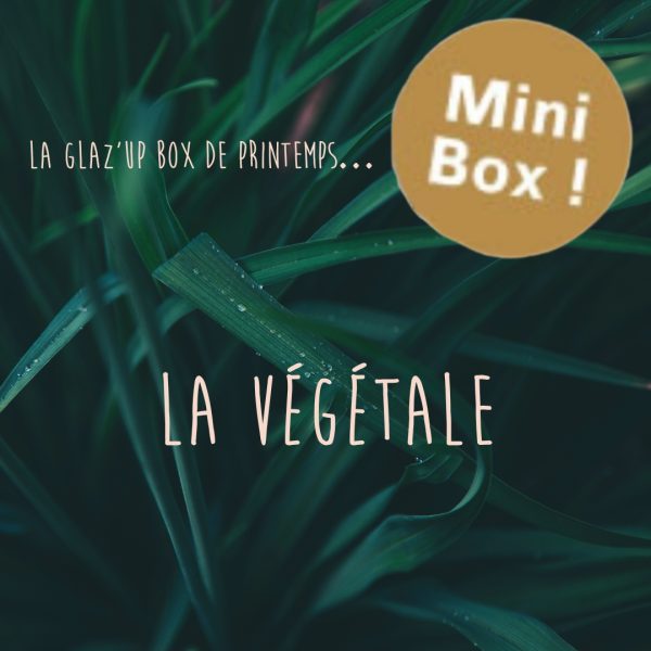 mini box végétale